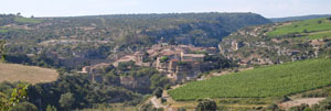 minerve